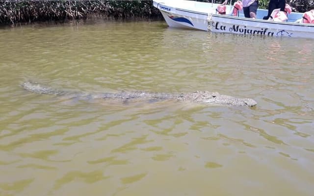 Tulum & Akumal with Sea Turtles + Las Coloradas 2-Day Tour photo 5