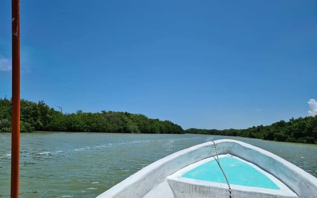 Tulum & Akumal with Sea Turtles + Las Coloradas 2-Day Tour photo 6