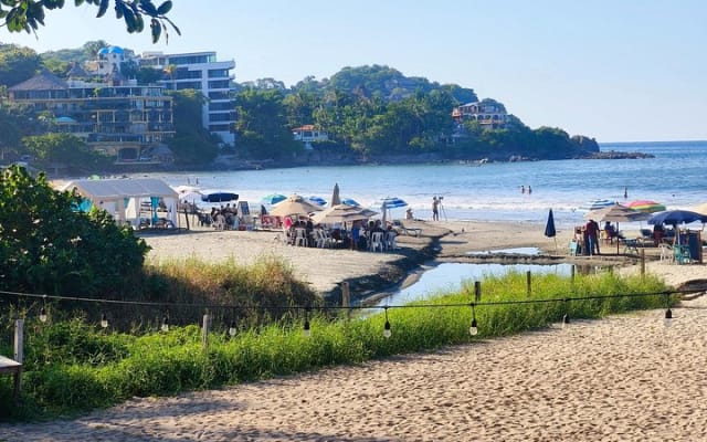 Excursion d'une journée à Sayulita photo 12