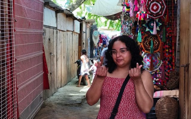 Excursion d'une journée à Sayulita photo 13