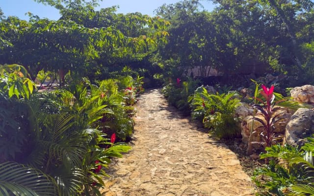 Chichén Itzá Ancestral Tour from Playa del Carmen with Cenote photo 10