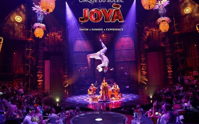 Cirque du Soleil JOYÀ Admission Tickets