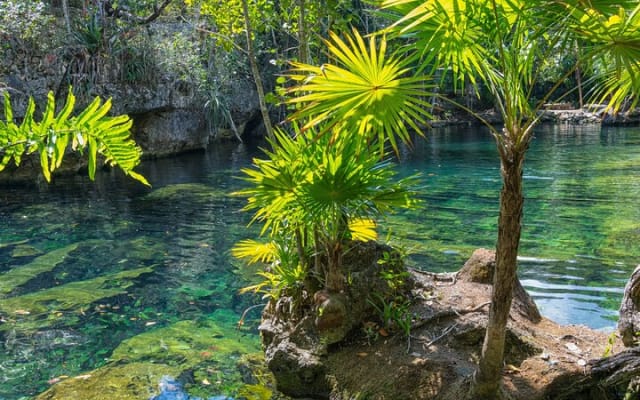 Tulum Private Cenotes Trio - Open, Semi Open and Cave experience photo 8