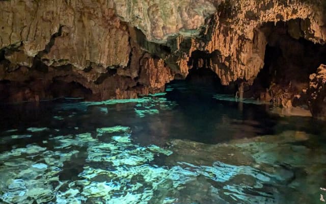 Private Tulum Ruins Expedition with Cenote photo 7