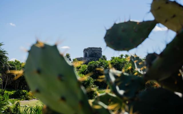Nature Adventure at Cenote 2 Ojos and Gran Cenote! Tulum Ruins photo 12
