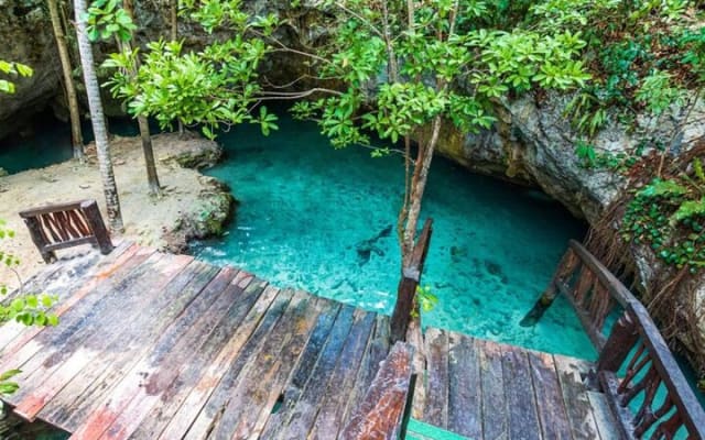 Nature Adventure at Cenote 2 Ojos and Gran Cenote! Tulum Ruins photo 15