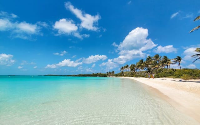 Contoy Island Tour with Untouched Paradise and Beach Day