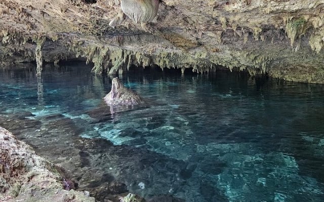 Nature Adventure at Cenote 2 Ojos and Gran Cenote! Tulum Ruins photo 8