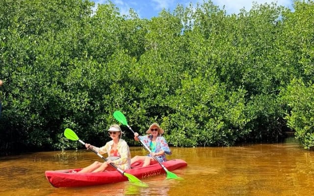 Sisal Mangrove and Beach Kayak Tour From Merida