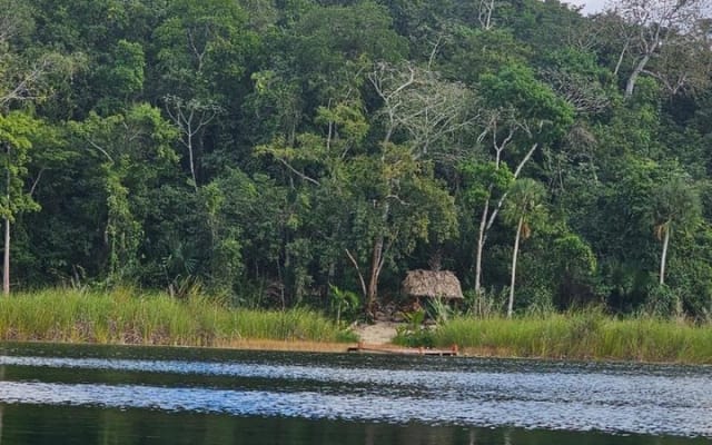Experience Coba Kayaks and Safari in Zona Maya photo 14