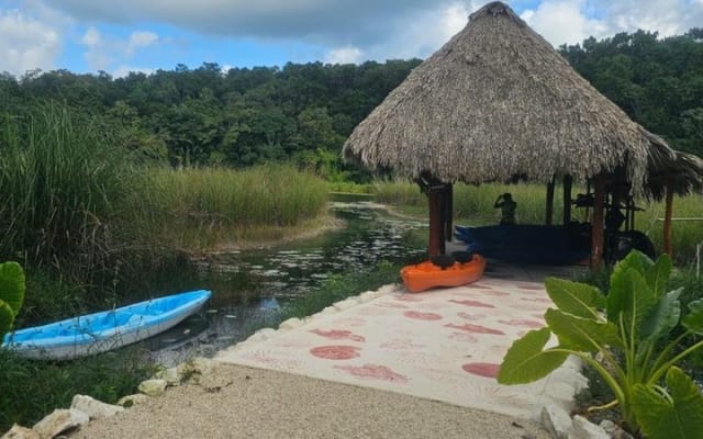 Experience Coba Kayaks and Safari in Zona Maya photo 10