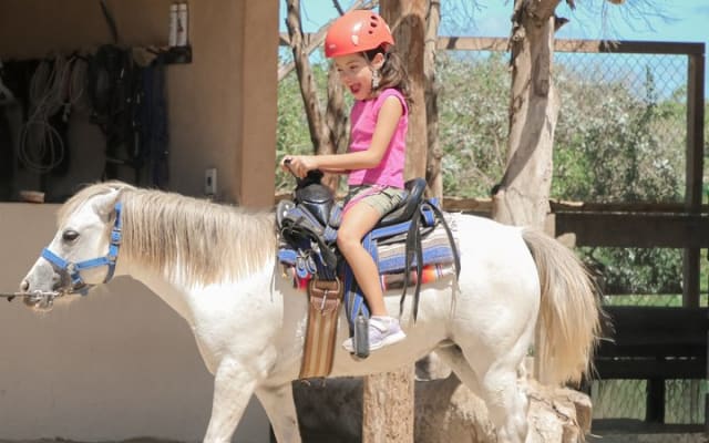 Cabo Kids Adventure Park Experience and Beach Club photo 4