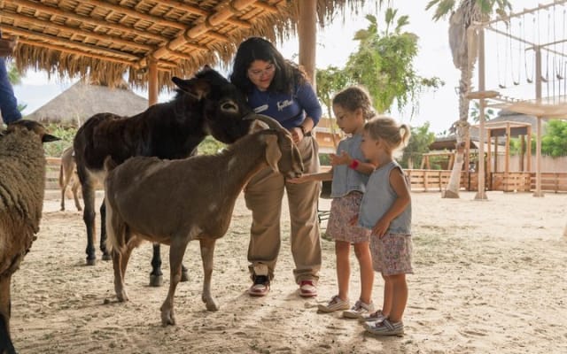 Cabo Kids Adventure Park Experience and Beach Club photo 6