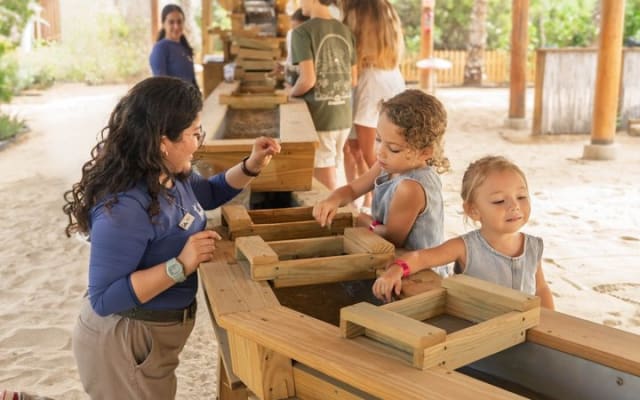 Cabo Kids Adventure Park Experience and Beach Club photo 8