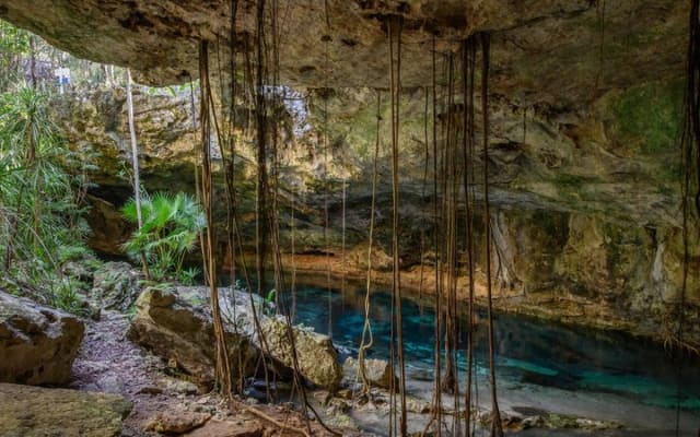 Private Day Trip to Ek Balam Ruins and Cenote Maya from Tulum photo 9