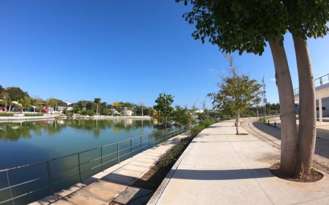Mérida en trottinette électrique : Paseo de Montejo et parc La Plancha photo 14