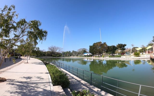 Mérida en trottinette électrique : Paseo de Montejo et parc La Plancha photo 15