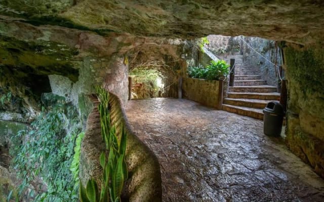 Tulum Private Day Trip with Car and Walk photo 6