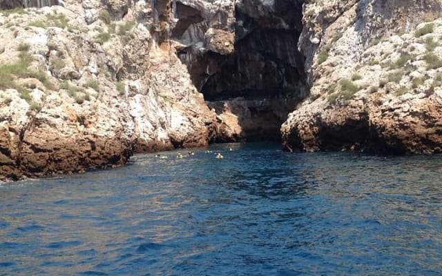 Private Marietas Islands Seabird Watching Tour photo 14