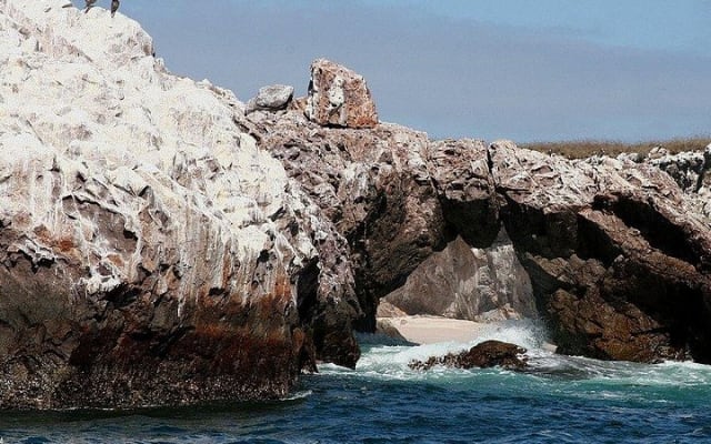 Private Marietas Islands Seabird Watching Tour photo 6