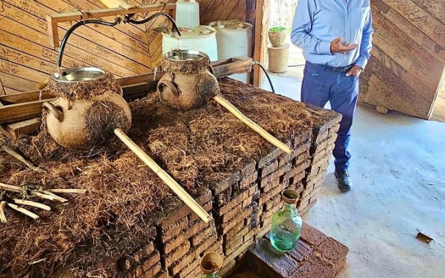 Monte Albán, mezcal ancestral, alebrijes y barro negro photo 8
