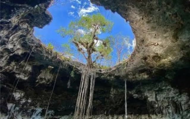 Cenotes Santa Barbara & Izamal Magic Town photo 8