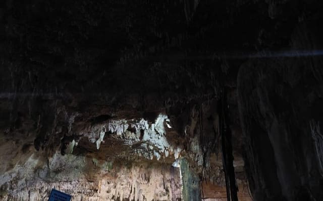 Coba Private Tour Explore Mayan Ruins and Sacred Cenotes photo 3