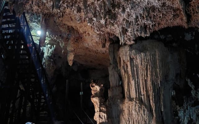 Coba Private Tour Explore Mayan Ruins and Sacred Cenotes photo 5