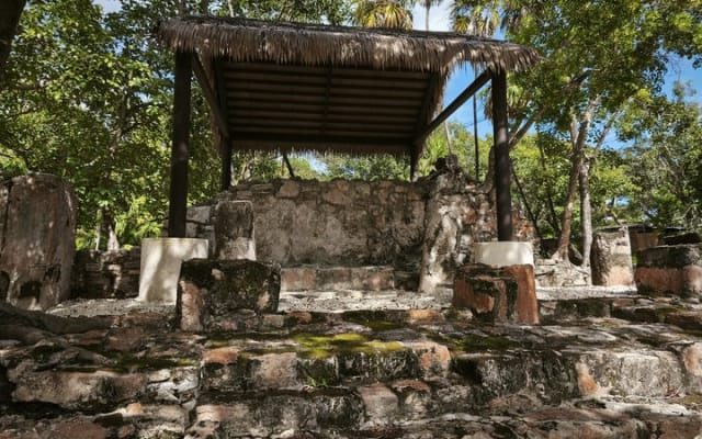 Coba Private Tour Explore Mayan Ruins and Sacred Cenotes photo 6