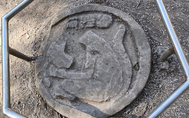 Coba Private Tour Explore Mayan Ruins and Sacred Cenotes photo 8