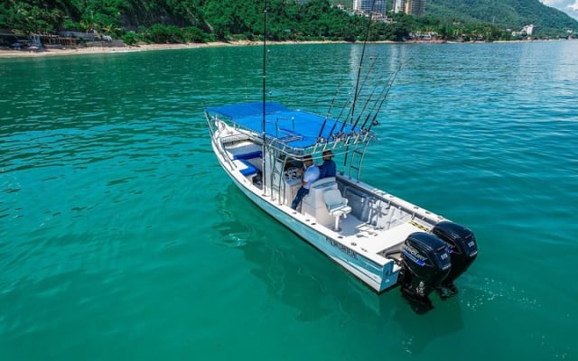 Super Panga Family Fishing Boat photo 2