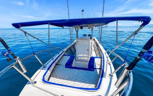Super Panga Family Fishing Boat photo 9