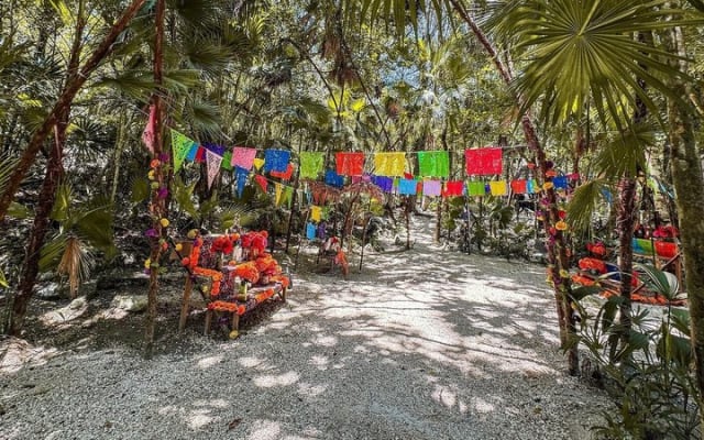 Tulum: 4 Sacred Cenotes Adventure with Rappel and Mayan Ceremony photo 6