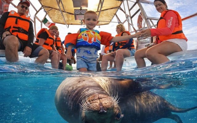 Excursion en bateau entièrement transparent à Cabo : tous les sites touristiques photo 3