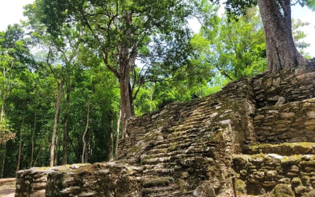 Private tour of Muyil Archaeological Site & Sian Ka'an Lazy River photo 10
