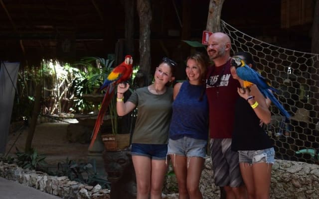 Jungle Zipline adventure with Cenote, Bungee swing and lunch photo 14
