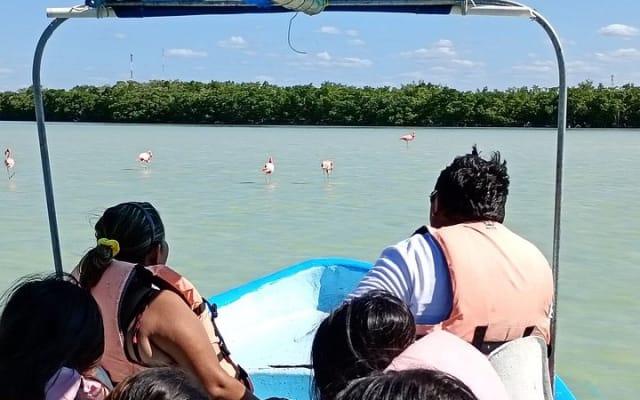 Coloradas and Rio Lizards Adventure Tour in Yucatan