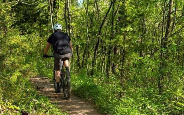 Jungle Off Road Bike Tour by Cenotes and Coastline photo 3