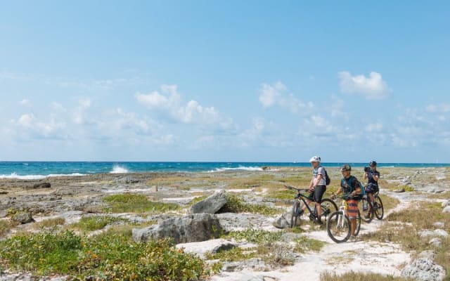 Jungle Off Road Bike Tour by Cenotes and Coastline photo 2