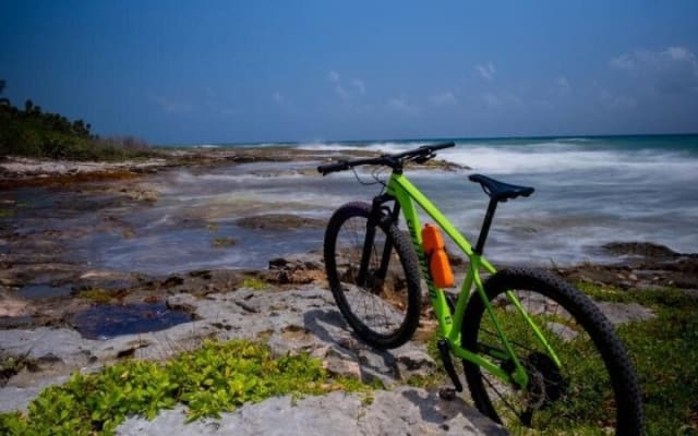 Jungle Off Road Bike Tour by Cenotes and Coastline photo 6