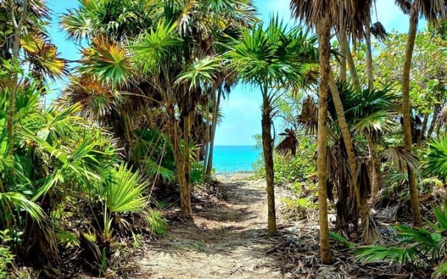 Jungle Off Road Bike Tour by Cenotes and Coastline photo 5