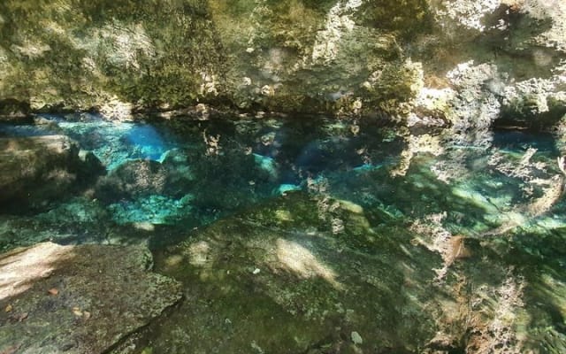 Jungle Off Road Bike Tour by Cenotes and Coastline photo 4
