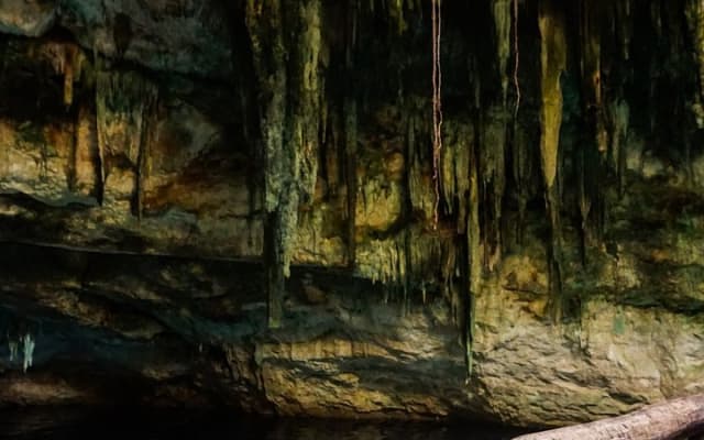 Tres Cenotes Tour from Merida photo 3