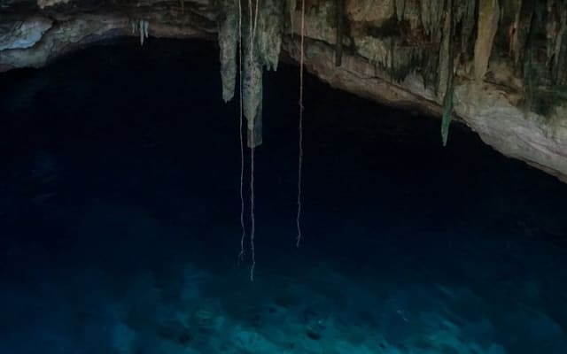 Tres Cenotes Tour from Merida photo 9