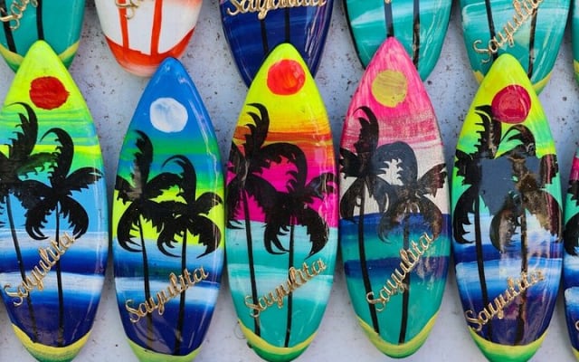 Sayulita and San Pancho Tour from Puerto Vallarta photo 4