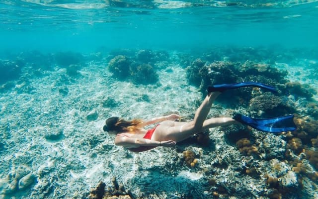 Experiencia en catamarán a La Paz y Playa Balandra desde Los Cabos photo 2