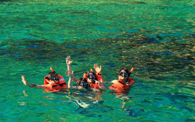 Snorkeling Boat Tour with Guide, Drinks and Fruit