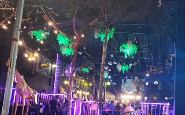 Balade nocturne dans le centre-ville : spray de tequila, cuisine et remises de groupe photo 5