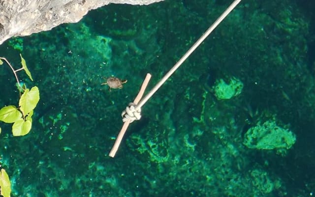 Experience at Cenote Zemway in Tulum photo 13