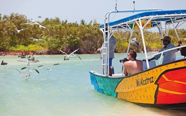 Whale Shark and Snorkeling Adventure from Isla Holbox photo 10